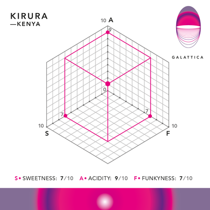 KIRURA / KENYA